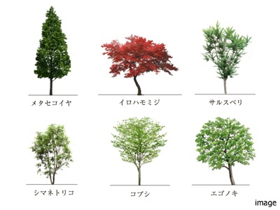 植栽イメージ｜ザ・パークハウス石神井公園テラス